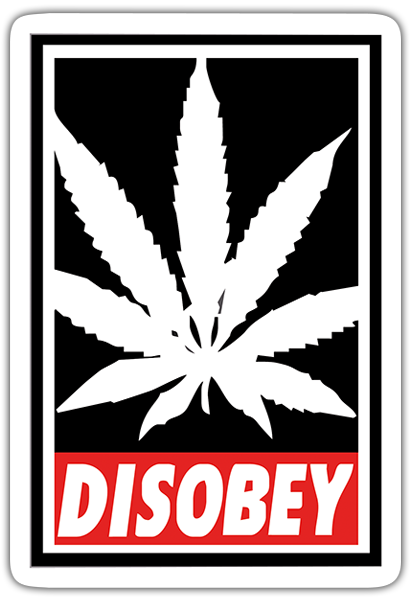 Disobey Marijuana