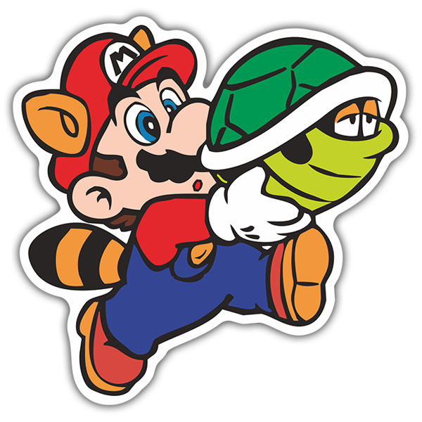 Super Mario Raccoon With Turtle